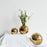 Ensemble de 3 vases en céramique moderne de luxe