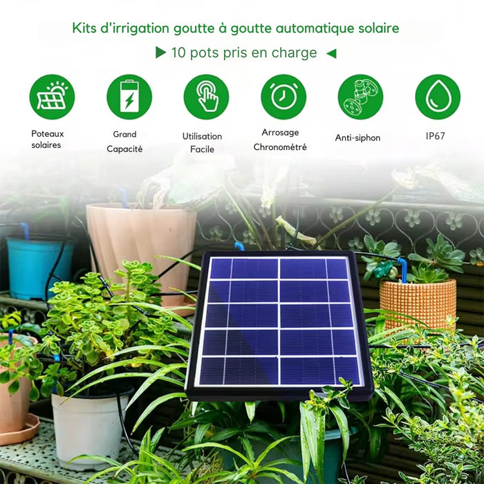 Kit d'Irrigation Goutte à Goutte Solaire Automatique