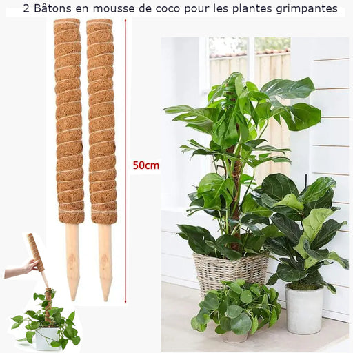 2X Bâton de mousse de coco pour plantes grimpantes ajustable